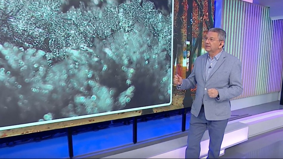 'Cristalización': Jaime Leyton explica el fenómeno de hielo ocurrido en Puerto Natales 'Cristalización': Jaime Leyton explica el fenómeno de hielo ocurrido en Puerto Natales