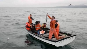 Gran estreno de La ruta del agua: Revisa la programación de Mega para este sábado 29 de julio