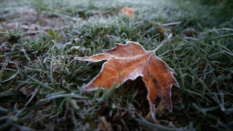 Con mínimas cercanas a los -2°C: Entregan pronóstico de lluvias y bajas temperaturas para los próximos días