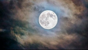 ¡Por tiempo limitado! Adagio Teas lanza colección especial para celebrar la llegada de la 'Superluna Azul'