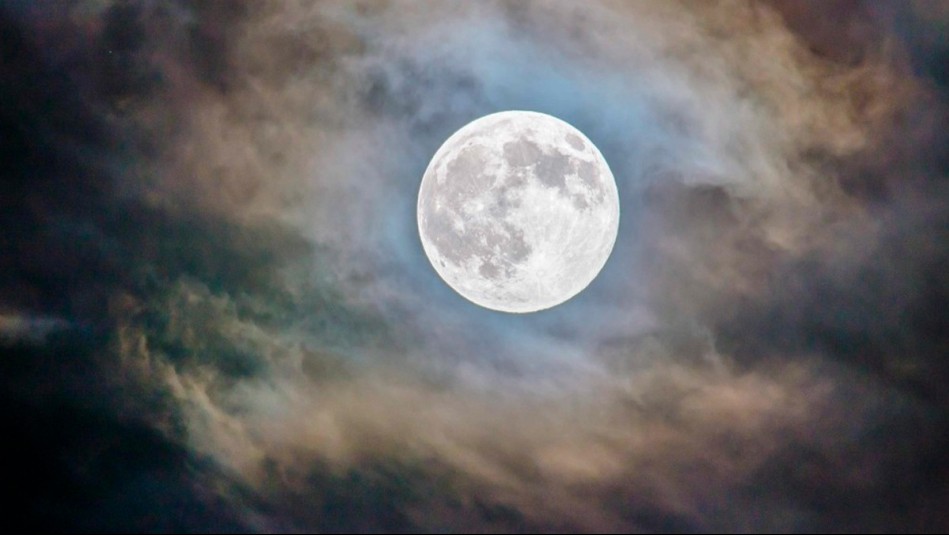 ¡Por tiempo limitado! Adagio Teas lanza colección especial para celebrar la llegada de la 'Superluna Azul'