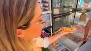 Pitones y tortugas: Dani Urrizola se sorprendió con las mascotas exóticas del mercado más grande de Tailandia