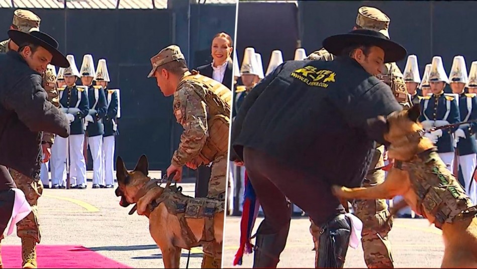 'No me vaya a morder': Gonzalo Ramírez puso a prueba a la Patrulla Canina en la previa de Parada Militar