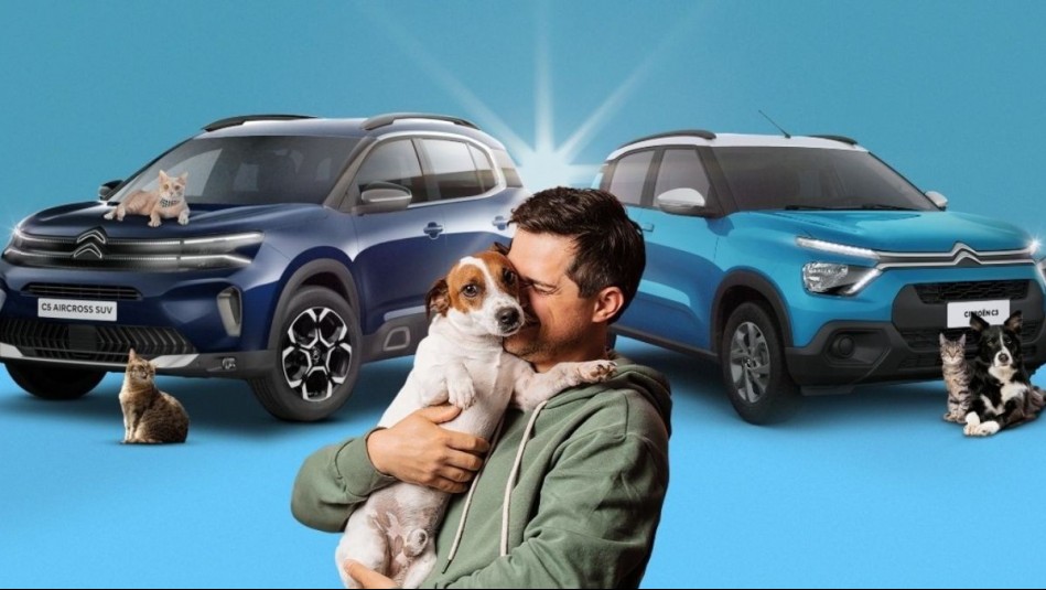 Viaje con mascotas: Citroën presenta servicio de test drive que permite llevar a animales de compañía