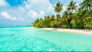 Viajes Falabella prepara nuevo Live Shopping en Mega: Ofrecerá descuentos en paquetes y concursos