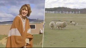 ¿Cómo trabajan los perros ovejeros?: Actriz Carmen Zabala se sorprende en De Paseo