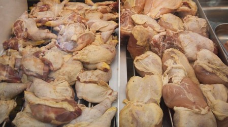 Compensación por colusión de pollos: ¿Cuándo se realizará el pago y cuál es el monto que entrega?