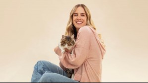 'Una inversión en la salud': Master Cat lanza producto húmedo que promueve el bienestar integral del gato