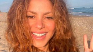 "Tu sigue cantando": Shakira muestra su fallida casa de jengibre con un divertido video