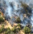 En horas de la mañana de este martes 26 de diciembre, se reportó un incendio forestal en el sector de San Carlos de Apoquindo, en la comuna de Las Condes.