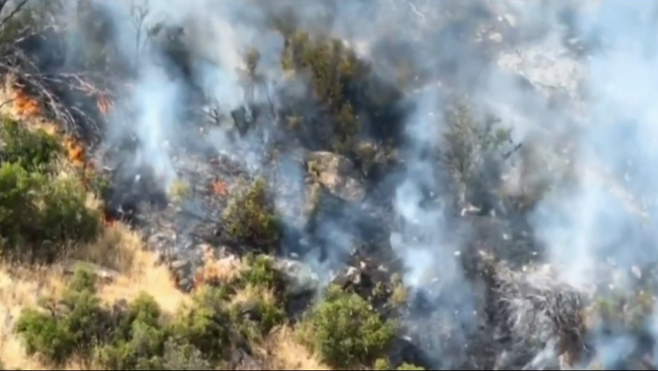 Incendio forestal en San Carlos de Apoquindo cubre de humo Santiago: Estiman 1,5 hectáreas consumidas