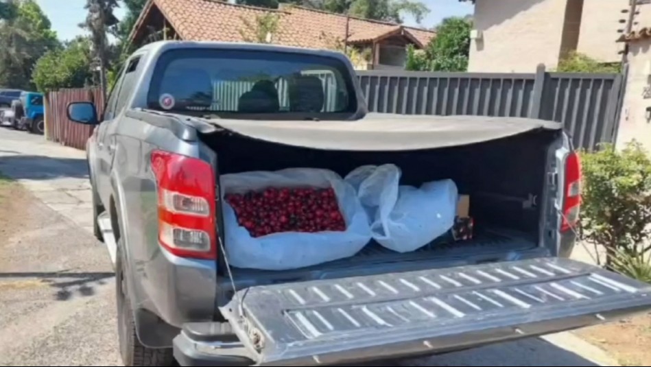 Polémica por venta VIP de cerezas en Las Condes: Decomisan comercio ambulante tras dichos de Gobierno