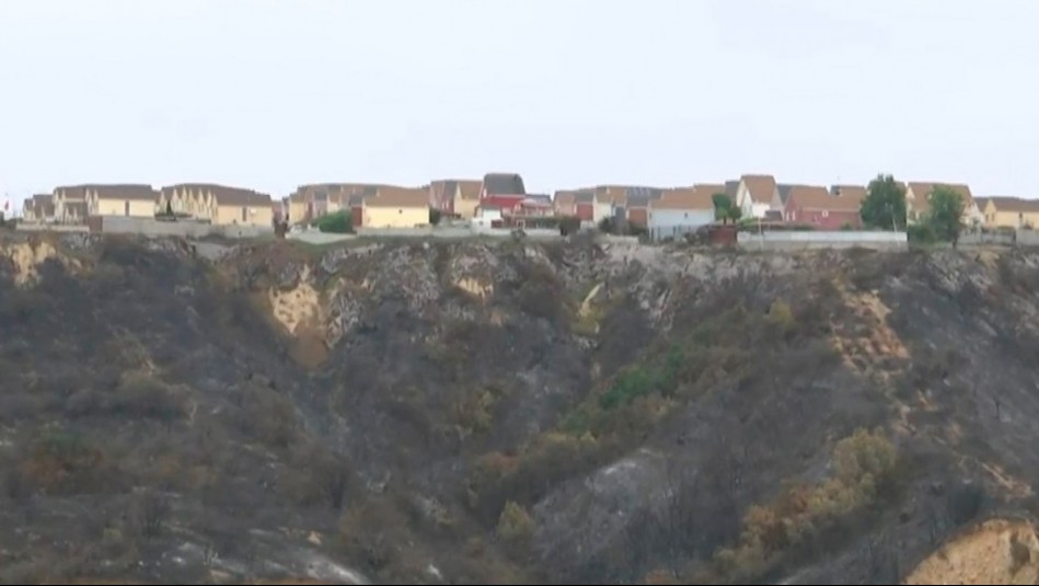 Gracias al trabajo preventivo: Las claves de barrio que se salvó de los incendios forestales en Viña del Mar