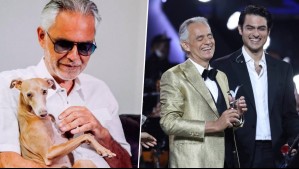 Llegó con él hasta Viña: Conoce a Ginebra, el fiel perro guía de Andrea Bocelli