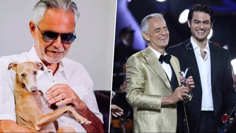 Llegó con él hasta Viña: Conoce a Ginebra, el fiel perro guía de Andrea Bocelli