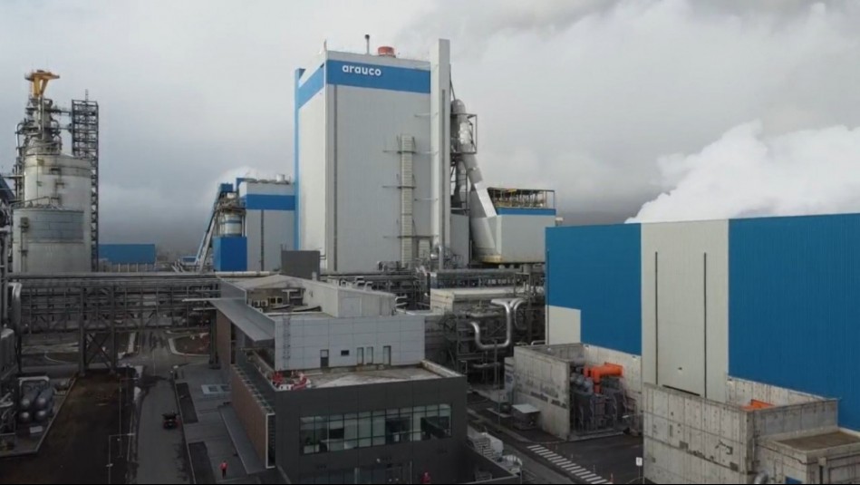 Avalado por Science Based Targets: ARAUCO se compromete a reducir emisiones en más 1,5M de toneladas para 2030