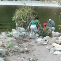 Mujer empujó a adulto mayor a río en Linares: Reclamó que estaban en su propiedad