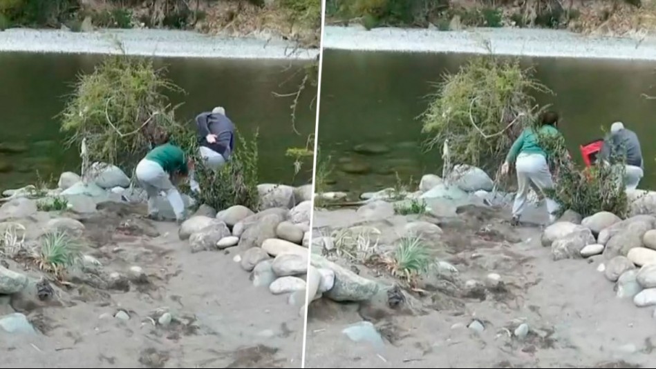 Mujer empujó a adulto mayor a río en Linares: Reclamó que estaban en su propiedad