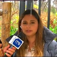 "$3 millones y aparece mañana": Nieta de mujer desaparecida en Limache denuncia haber sido estafada por médium