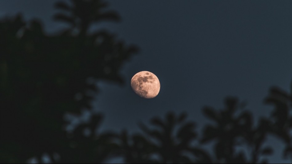 ¿Cuándo se verá la Luna de las Flores en Chile este mes de mayo?