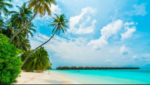 Viajes Falabella sorteará pasajes a Punta Cana, Barcelona y Colombia durante Live Shopping by Mega