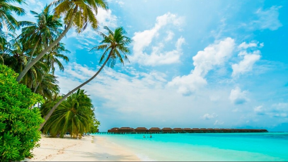 Viajes Falabella sorteará pasajes a Punta Cana, Barcelona y Colombia durante Live Shopping by Mega