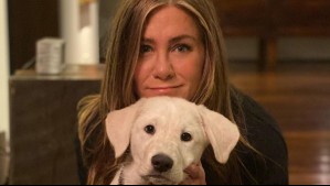 Descubre cómo cuidar el cabello igual que Jennifer Aniston: Este es el precio de su champú vegano