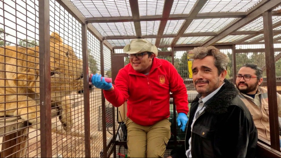 Picadas con Koke Santa Ana - Capítulo 12: Una comida salvaje en el Parque Safari