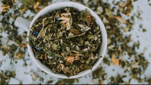 'Atacameña': Recolectora de hierbas ancestrales creó empresa de infusiones que preserva la cultura Lickanantay