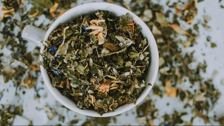 'Atacameña': Recolectora de hierbas ancestrales creó empresa de infusiones que preserva la cultura Lickanantay