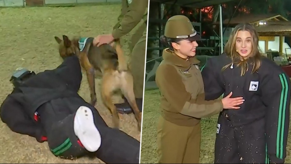 De Paseo: Tita Ureta se deja morder por un can en 'homenaje' al Día Internacional del Perro