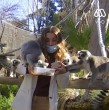 Tita Ureta fue acompañada por los lémures del Buin Zoo que jugaron con la animadora en De Paseo.