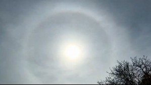 "¿Aguacero o temblor?": Alejandro Sepúlveda explica por qué apareció un halo solar en Viña del Mar