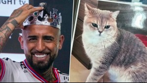 Buenas noticias para el "King": Arturo Vidal recupera a gato extraviado por el que ofreció recompensa