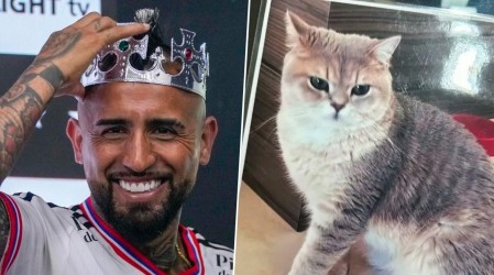 Buenas noticias para el "King": Arturo Vidal recupera a gato extraviado por el que ofreció recompensa