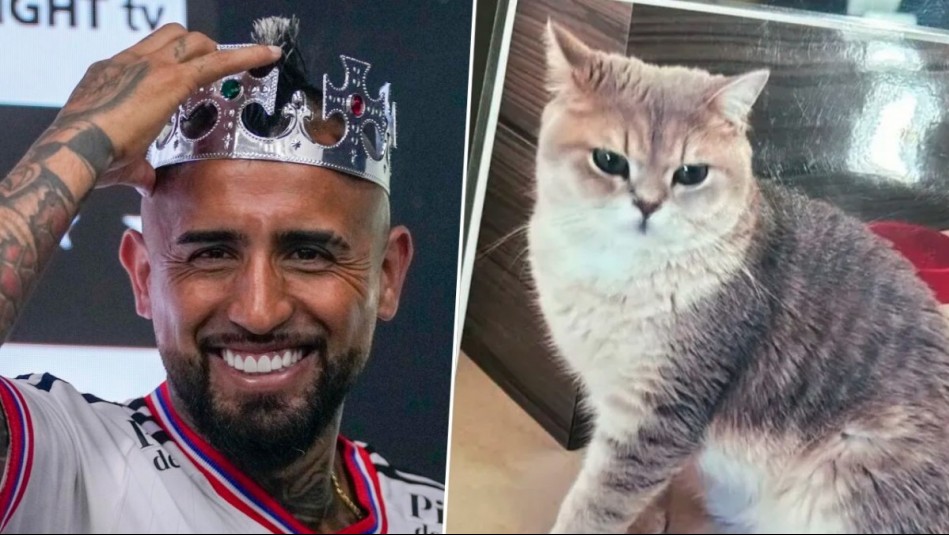 Buenas noticias para el 'King': Arturo Vidal recupera a gato extraviado por el que ofreció recompensa