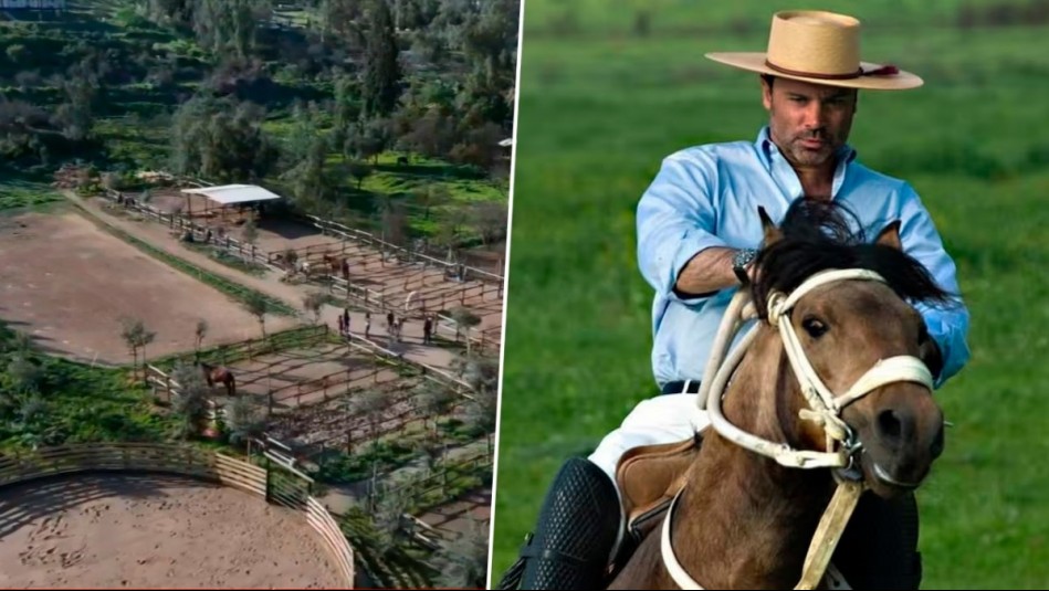 ¿Qué es la hipoterapia? El programa gratuito que se hará en la parcela de Felipe Camiroaga en Chicureo