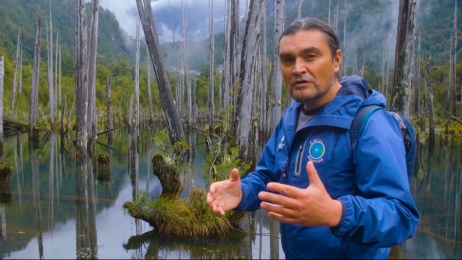 Aventuras por Chile - Capítulo 10: Alerces sumergidos en el Parque Tagua Tagua