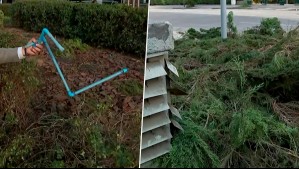 Cañerías y árboles destrozados: Así quedó el Centro Cívico de Las Condes tras incidentes en el Día del Tulipán