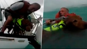 Milagroso rescate: Logran sacar del mar a hombre y su perrito atrapados tras paso del huracán Helene