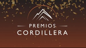 Premios Cordillera 2024: ¿Cómo votar por los nominados de Mega?