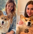 Revisa acá el triste mensaje que dejó Belén Soto al comunicar el fallecimiento de su perrito Ralph.