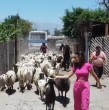Revive acá el recorrido de Tita Ureta por el mítico sector de Cariño Botado en la región de Valparaíso.