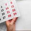 Conoce acá si este viernes 6 de diciembre es feriado en el territorio nacional.