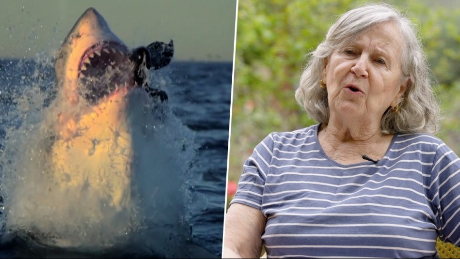 Viaje a lo Insólito - Capítulo 10: Tiburones en Chile - Chilena Schindler