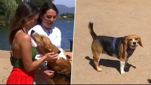 ¡Para viajar con nuestros peludos! Cote Quintanilla y Tita Ureta conocen la 'Isla de los Perros' en De Paseo