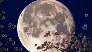 Horóscopo lunar: Sábado 14 de diciembre de 2024