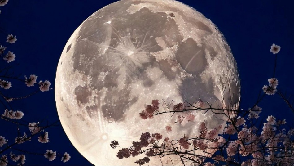 Horóscopo lunar: Sábado 14 de diciembre de 2024