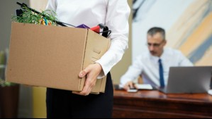 ¿Quedaste sin trabajo? Así puedes solicitar el Seguro de Cesantía