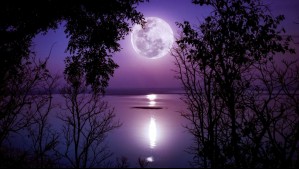 Horóscopo lunar: Lunes 23 de diciembre de 2024